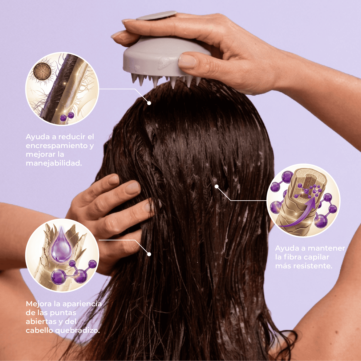 Conditioner