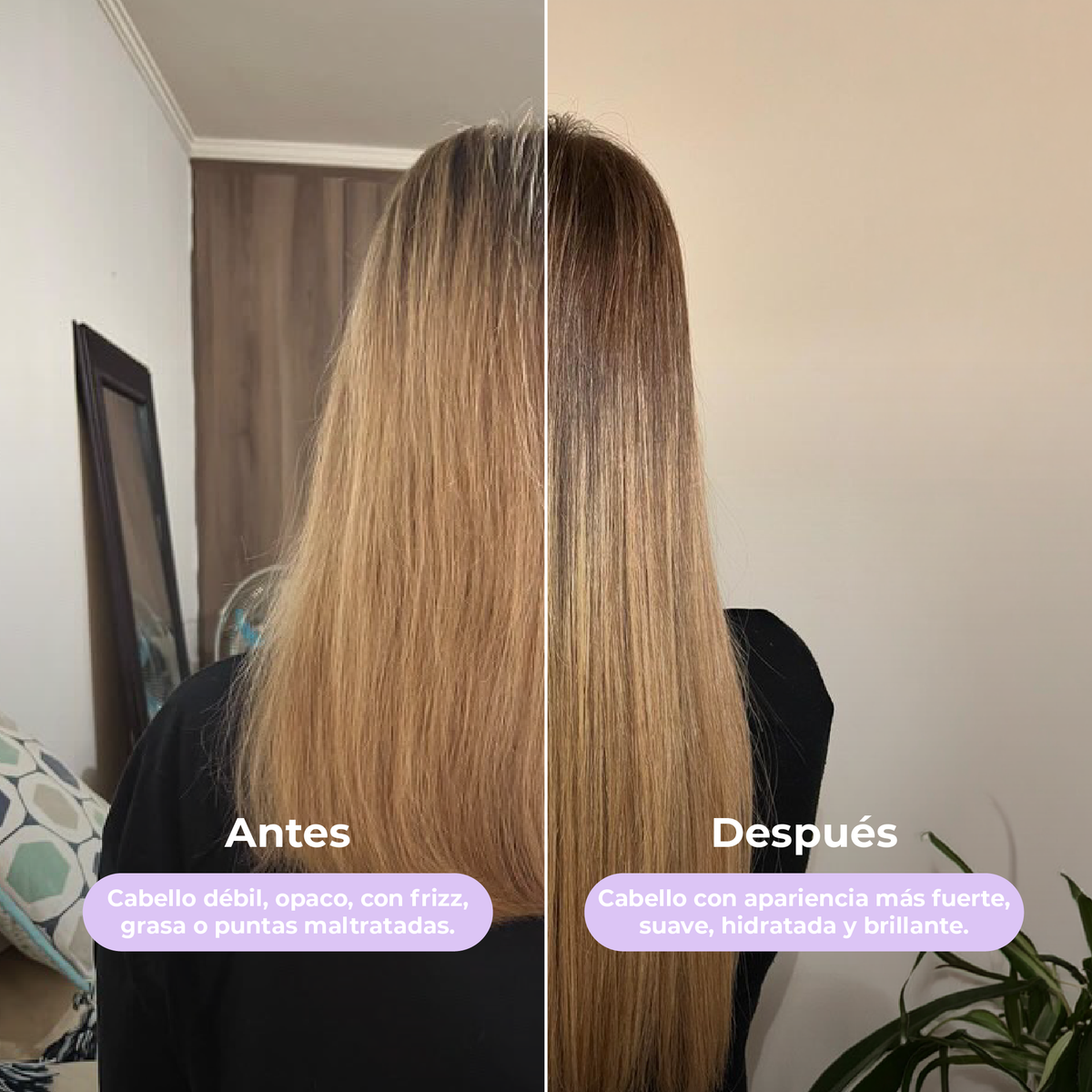 Shampoo und Spülung